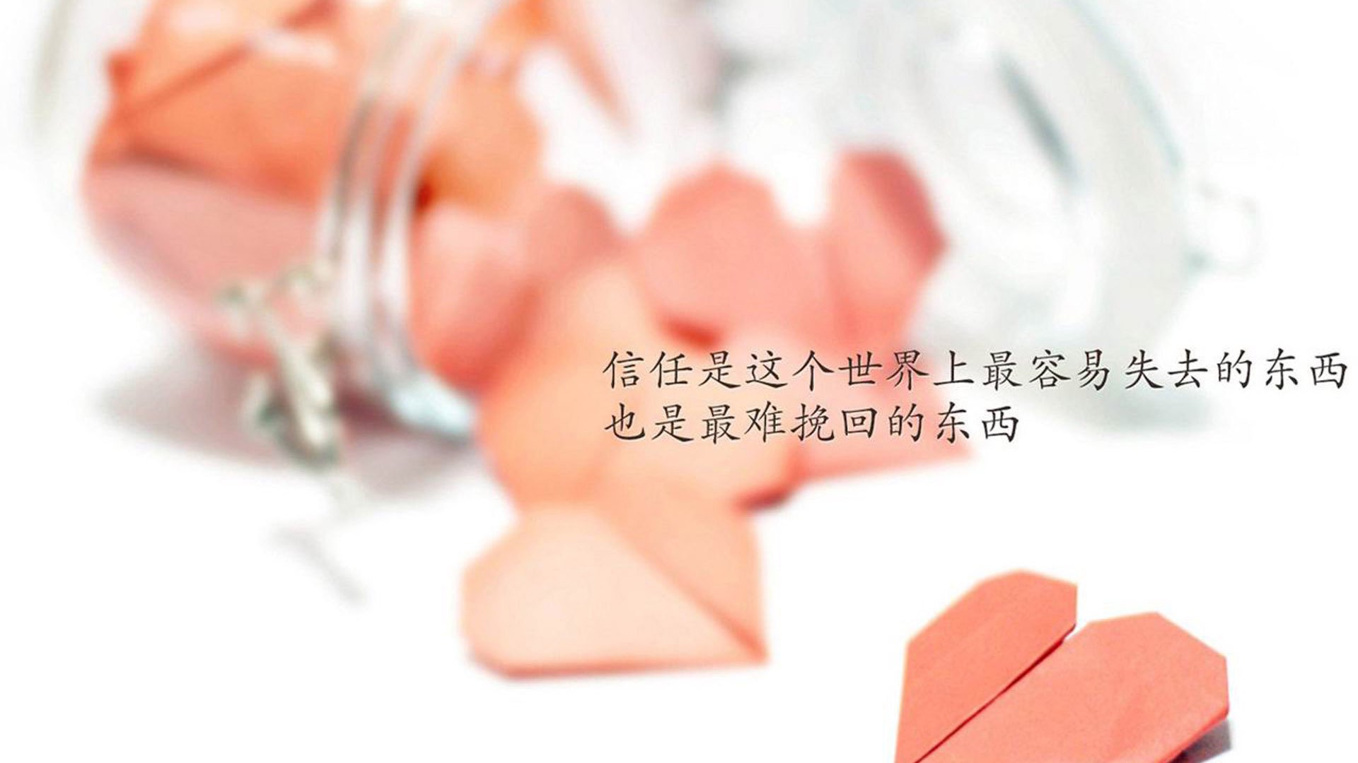 传统跆拳道锦标赛，技艺与胆识的较量，跆拳道竞技比赛最新规则